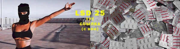 мяу мяу мука Алексин