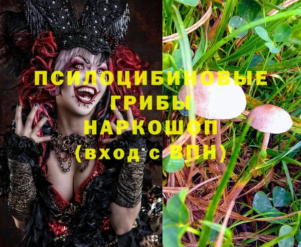 марки nbome Алзамай