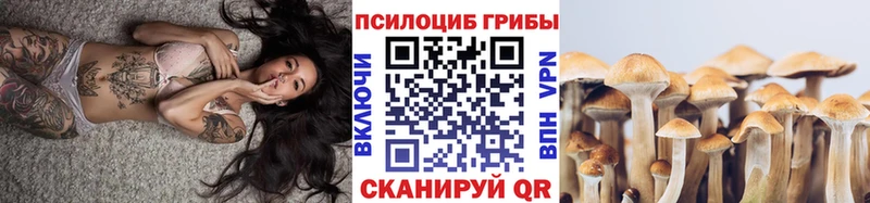 Галлюциногенные грибы мицелий Байкальск